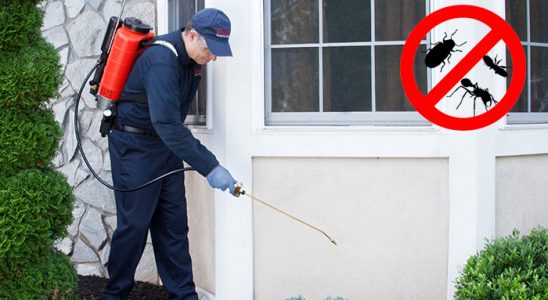 Vakfıkebir Bit İlaçlama böcek ilaçlama ve haşere kontrolü — ilaclama-tr.com